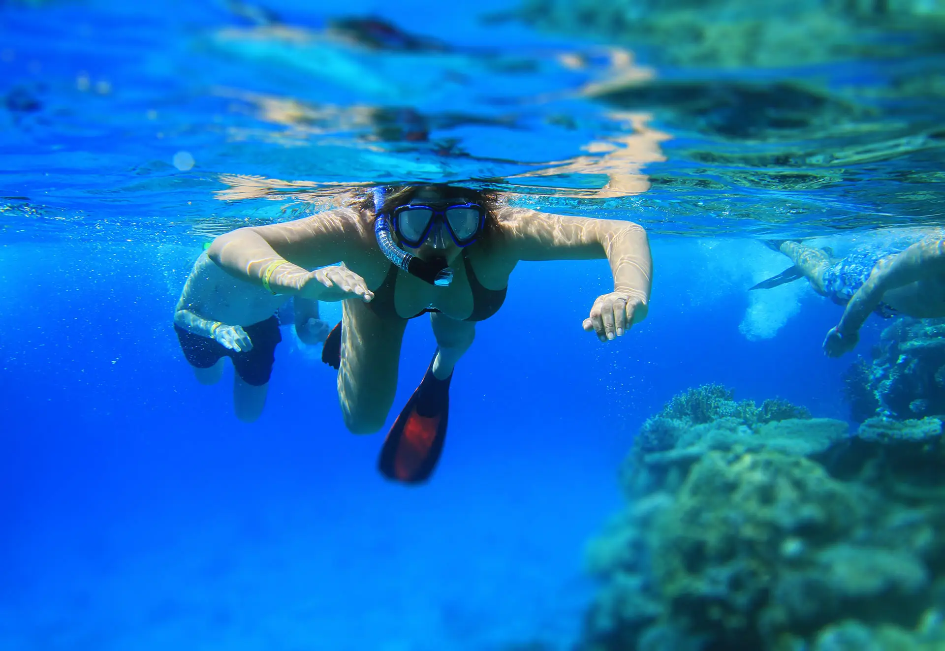 Scuba Diving Gold Coast